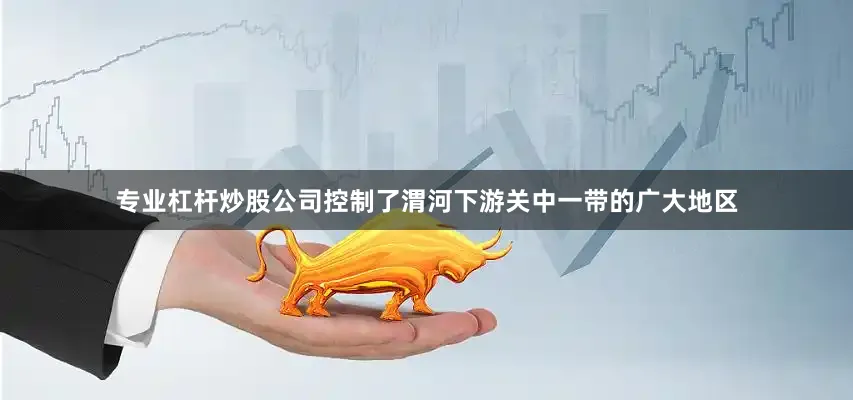 专业杠杆炒股公司控制了渭河下游关中一带的广大地区