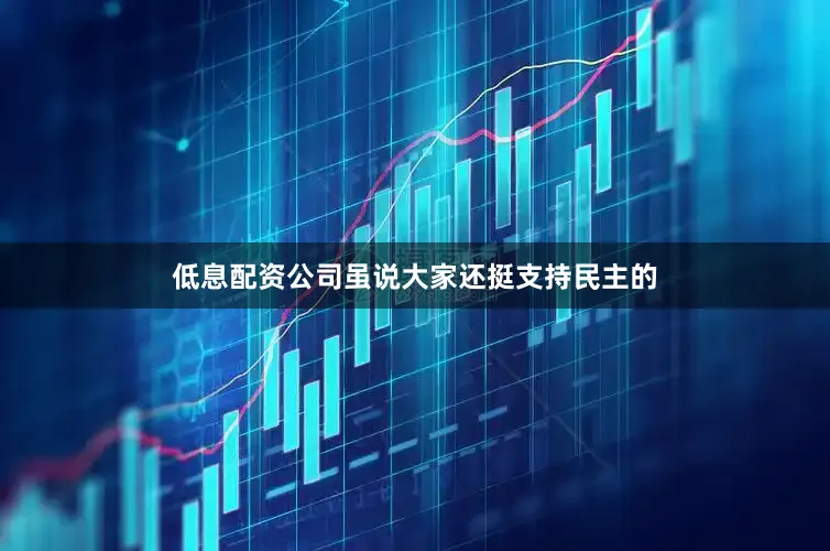 低息配资公司虽说大家还挺支持民主的